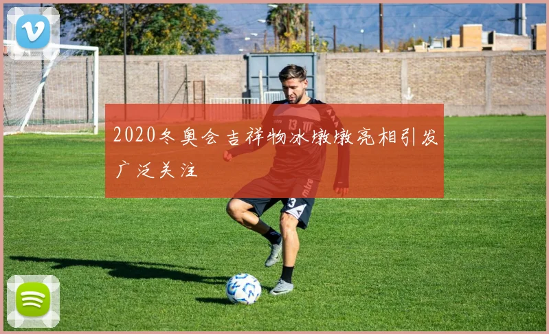 2020冬奥会吉祥物冰墩墩亮相引发广泛关注